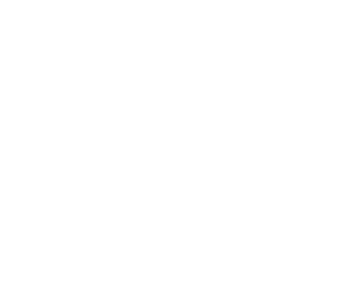 AVS Simulator Logos_Horizon Guardian White