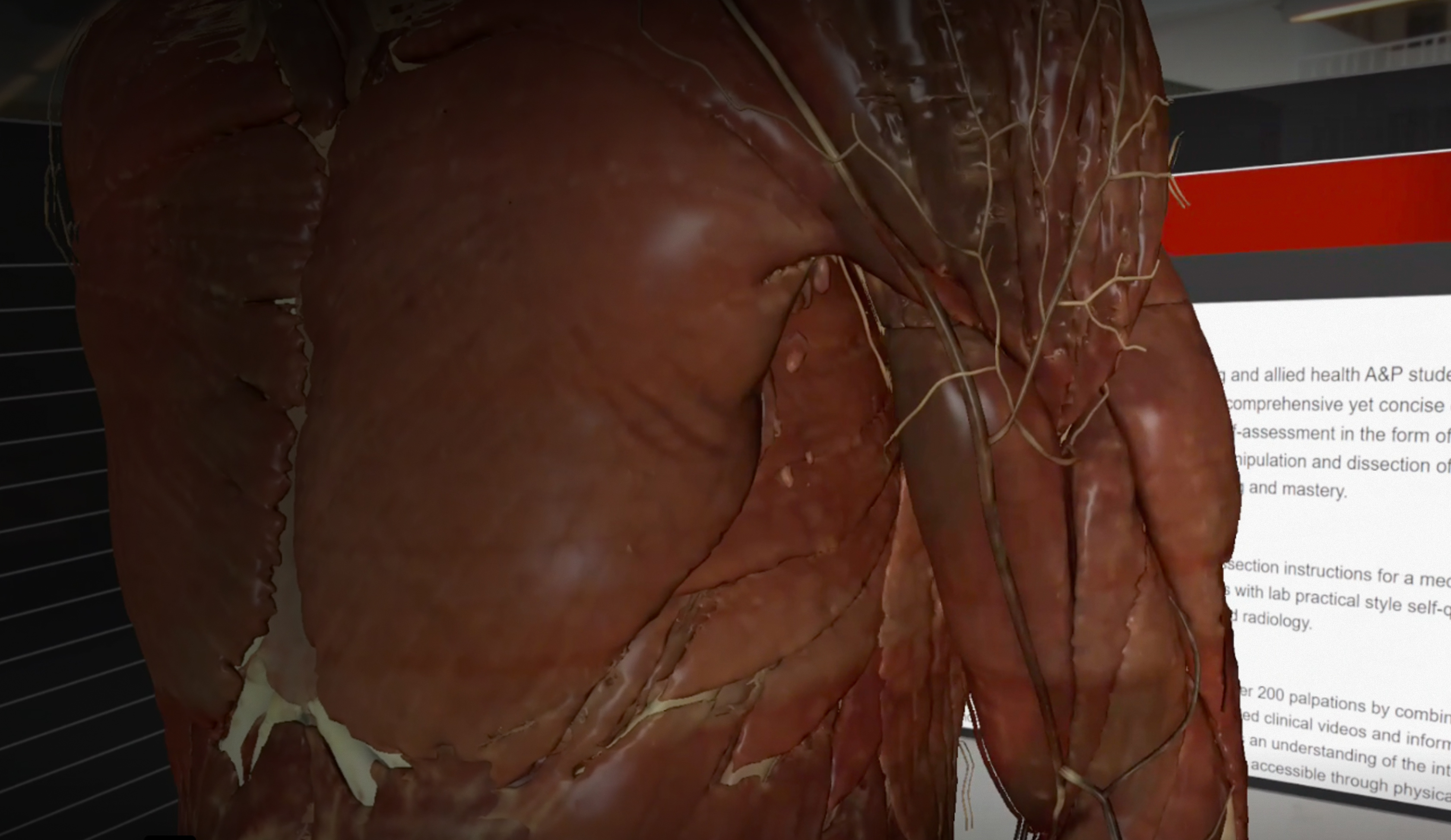 Header_body