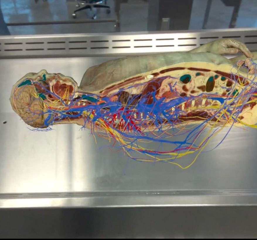 VR medical training