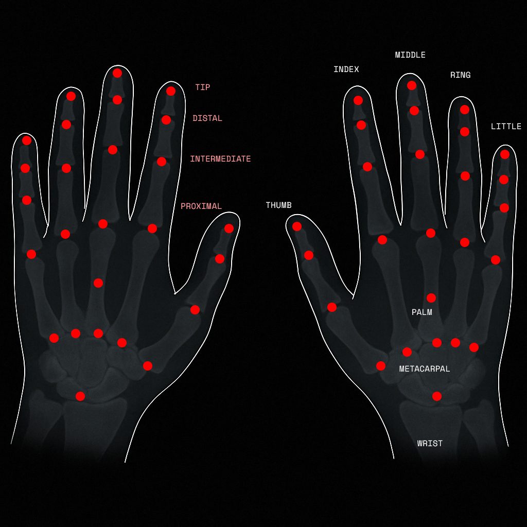 Hand-tracking-landmarks